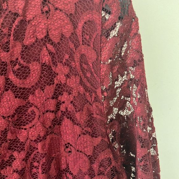 ASOS Lace Cranberry Dress - Picture 5 of 10